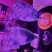 ヒメ日記 2025/10/25 02:15 投稿 ちえ みつばちマーヤZ