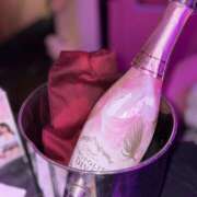 ヒメ日記 2025/10/26 01:47 投稿 ちえ みつばちマーヤZ