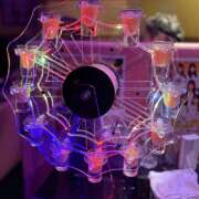 ヒメ日記 2025/11/24 01:38 投稿 ちえ みつばちマーヤZ