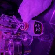 ヒメ日記 2025/12/20 00:46 投稿 ちえ みつばちマーヤZ