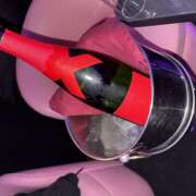 ヒメ日記 2025/12/24 00:43 投稿 ちえ みつばちマーヤZ