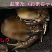 ヒメ日記 2026/06/05 19:18 投稿 尻股 胸子 性の極み妻 好き者たちの宴