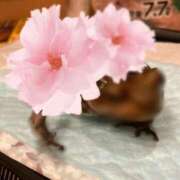 ヒメ日記 2026/06/11 18:32 投稿 尻股 胸子 性の極み妻 好き者たちの宴