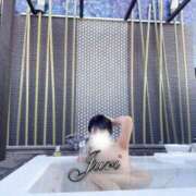 ヒメ日記 2025/12/11 18:16 投稿 じゅり 人妻の蜜