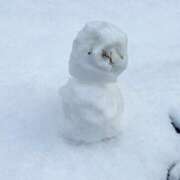 ヒメ日記 2026/02/08 22:44 投稿 じゅり 人妻の蜜