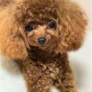 ヒメ日記 2026/03/03 22:32 投稿 じゅり 人妻の蜜