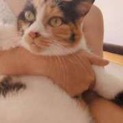 ヒメ日記 2025/10/17 08:45 投稿 猫井 みやこ SUMIRE