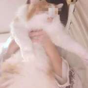 ヒメ日記 2025/10/29 20:11 投稿 猫井 みやこ SUMIRE