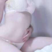 ヒメ日記 2025/11/03 23:05 投稿 猫井 みやこ SUMIRE