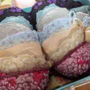 ヒメ日記 2025/11/09 11:45 投稿 猫井 みやこ SUMIRE