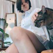 ヒメ日記 2025/11/10 20:33 投稿 猫井 みやこ SUMIRE