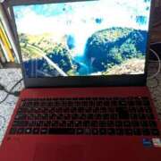 ヒメ日記 2025/11/19 18:32 投稿 猫井 みやこ SUMIRE