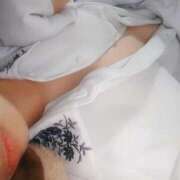 ヒメ日記 2025/11/29 13:36 投稿 猫井 みやこ SUMIRE