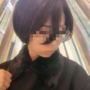 ヒメ日記 2025/12/20 20:45 投稿 猫井 みやこ SUMIRE