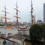 ヒメ日記 2025/12/25 11:00 投稿 猫井 みやこ SUMIRE