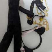 ヒメ日記 2025/12/26 21:41 投稿 猫井 みやこ SUMIRE