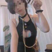 ヒメ日記 2026/01/09 21:41 投稿 猫井 みやこ SUMIRE