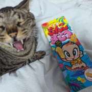 ヒメ日記 2026/03/26 18:07 投稿 猫井 みやこ SUMIRE