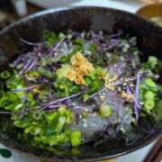 猫井 みやこ しらす丼を食べましたよ SUMIRE