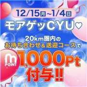 ヒメ日記 2025/12/22 18:23 投稿 みさき 木更津人妻花壇
