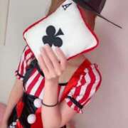 ヒメ日記 2025/11/02 18:06 投稿 とあん 子猫カフェ 小倉店