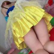 ヒメ日記 2025/12/30 17:02 投稿 とあん 子猫カフェ 小倉店