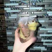 水無瀬 こはる お芋❕ バルボラ マリン