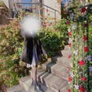 ヒメ日記 2025/11/29 00:17 投稿 かんな 秋葉原鑑賞ガール