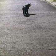 ヒメ日記 2025/11/08 20:35 投稿 あかね Noble