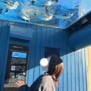 ヒメ日記 2026/01/13 20:05 投稿 あかね Noble