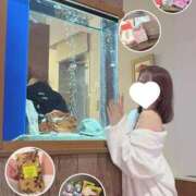 ヒメ日記 2026/02/21 08:26 投稿 えま SAPPORO ばつぐんnet