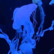 ヒメ日記 2026/03/07 12:06 投稿 えま SAPPORO ばつぐんnet