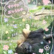 ヒメ日記 2026/06/01 18:16 投稿 えま SAPPORO ばつぐんnet