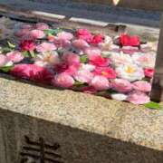 ヒメ日記 2026/07/07 16:16 投稿 えま SAPPORO ばつぐんnet
