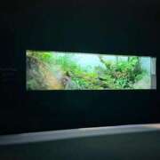 ヒメ日記 2026/08/20 14:49 投稿 えま SAPPORO ばつぐんnet