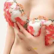 ヒメ日記 2025/12/01 13:01 投稿 みすず 若妻LOVE