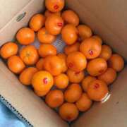 ヒメ日記 2025/12/23 19:02 投稿 なゆ 宮城♂風俗の神様 仙台店