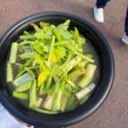 ヒメ日記 2026/04/12 17:32 投稿 なゆ 宮城♂風俗の神様 仙台店