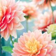 ヒメ日記 2025/10/04 10:01 投稿 早乙女　みさ YOKOHAMA FIVESTAR（横浜ファイブスター）