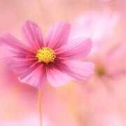 ヒメ日記 2025/10/12 22:05 投稿 早乙女　みさ YOKOHAMA FIVESTAR（横浜ファイブスター）