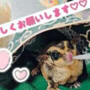 ヒメ日記 2026/06/20 23:35 投稿 璃来(りく) 高知デリヘル倶楽部 人妻熟女専門店