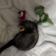 ヒメ日記 2025/11/05 15:51 投稿 れおん めちゃカワ女子 小田原早川店