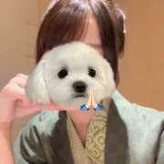 ヒメ日記 2026/05/04 16:11 投稿 すずね non-non 神田(ノンノン神田)