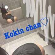 ヒメ日記 2025/11/01 14:30 投稿 コキン いたずらバニーちゃん