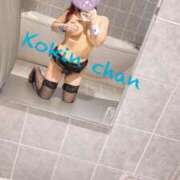 ヒメ日記 2025/11/02 16:40 投稿 コキン いたずらバニーちゃん