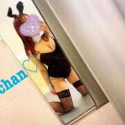 コキン 明日は🐰ྀི いたずらバニーちゃん