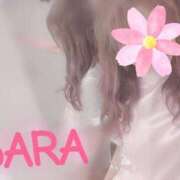 ヒメ日記 2026/08/20 09:39 投稿 一ノ瀬さら 福井性感回春アロマSpa