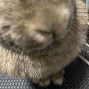 ヒメ日記 2026/07/01 20:40 投稿 るな Queen Angel(クイーンエンジェル)