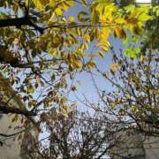 ヒメ日記 2026/04/27 07:01 投稿 もみじ 出会い系人妻ネットワーク 上野〜大塚編