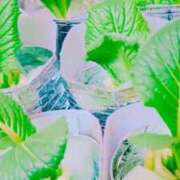 ヒメ日記 2026/04/08 07:14 投稿 のん 極SPA（中洲）